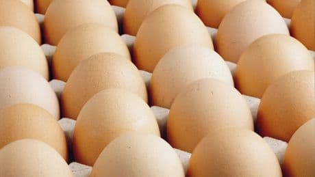 Bakanlık duyurdu: Yumurta satışında büyük değişiklik!