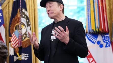 Tesla’s market share has plummeted – and taken Elon Musk with it