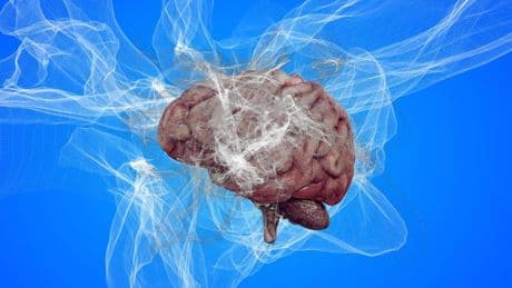 Alzheimer, la speranza è nel litio: la scoperta di Harvard sul "custode" che protegge la memoria