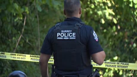 Surrey police launch counter-extortion team amid growing fears