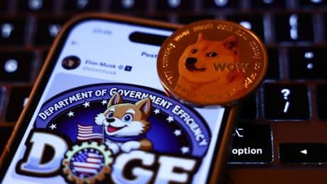 New $1 Trillion DOGE-Trolling Ransomware Attacks Confirmed