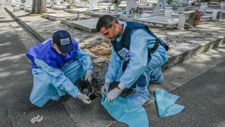 West Nile, gabbiani e cornacchie «possono influire su diffusione infezioni nelle città». Il parere di Rezza