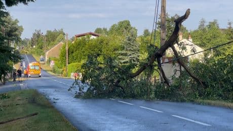 Violents orages en France : éclairs, arbres couchés, inondations... les images spectaculaires des dégâts