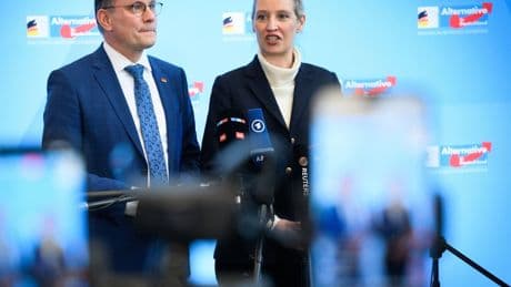 Verfassungsschutz: Das Gutachten zur AfD darf keine Geheimsache bleiben