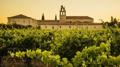 Abadía Retuerta: recuperación patrimonial y ambiental en pleno Valle del Duero