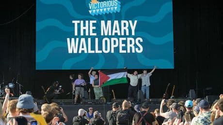 Victorious Festival share new statement after The Mary Wallopers set was cut