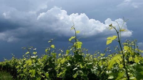 Météo du lundi 2 juin : orages et éclaircies sous un ciel variable