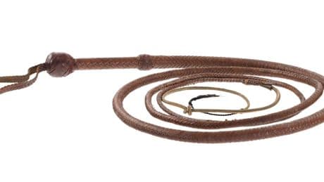 Indiana Jones whip snaps up $525,000 at auction after ‘Citizen Kane’ sled goes for $14.75 million