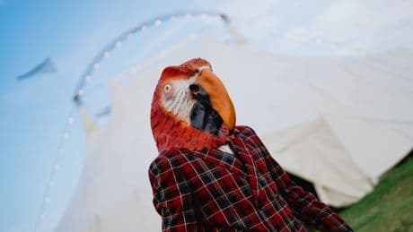 Berlin Circus Festival: Akrobatik mit Pappnase und Seele
