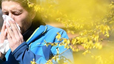 Wettereinflüsse auf Allergien: Tipps zum Schutz vor Pollen und Heuschnupfen