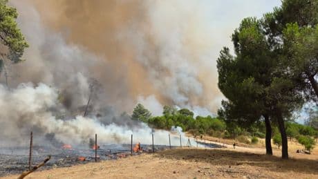 Declarado un incendio en Ávila, con un nivel 2 de peligrosidad