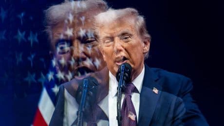 Trump unter Druck: Demokraten veröffentlichen Schreiben