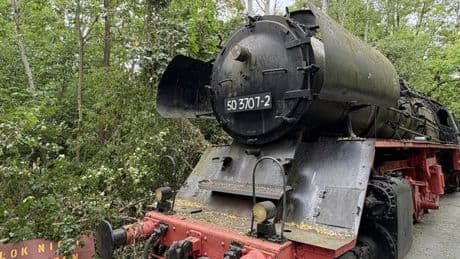 Lost Place mitten in Berlin: Natur holt sich alten Bahnhof zurück