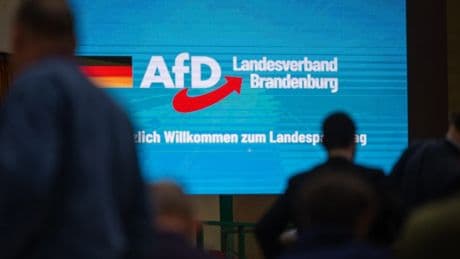 Gutachten: Verfassungsschutz sieht Brandenburger AfD als rechtsextrem
