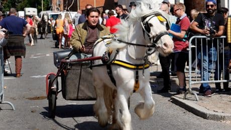 Hundreds of travellers flock to 800-year-old horse fair as street races close down town and rubbish piles up
