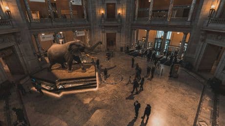 Trump, mani sullo Smithsonian. Lotta al woke con le stesse armi