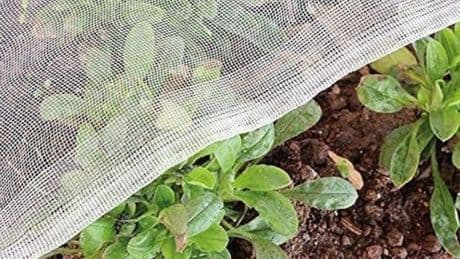 Protect your plants from insects this summer with this fine mesh netting that’s now on sale