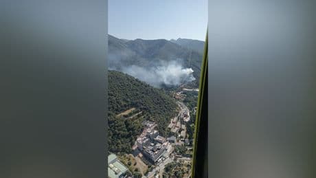İzmir'de orman yangını çıktı