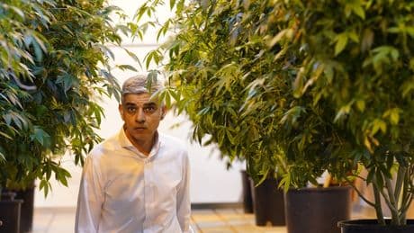 Sadiq Khan backs calls to decriminalise some cannabis possession