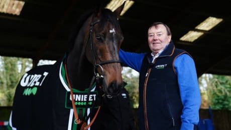 Nicky Henderson pulls Constitution Hill from £650,000 race after trainer admitted ‘something has gone wrong’