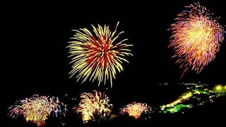 Cane morto a Celle, scontro tra il Comune e la ditta Fireworks sui fuochi artificiali