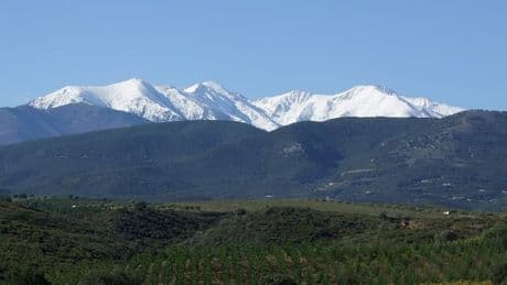Pyrénées-Orientales: un randonneur parti à l'ascension du Canigou dévisse et meurt
