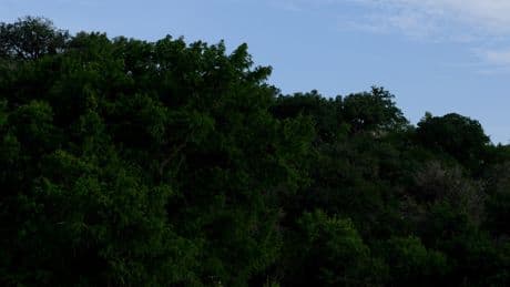 Before the Central Texas Floods, the Owners of Camp Mystic Were a Fixture