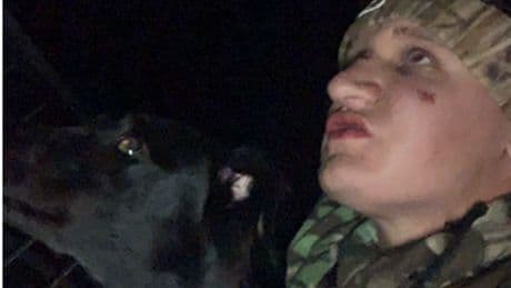 Fife sicko who made dogs hunt and brutally kill wildlife and pet cats is jailed