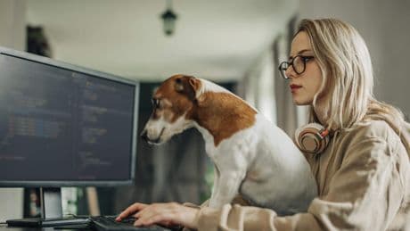 AI jaagt starters van de arbeidsmarkt: deze functies zijn de ’kanaries in de kolenmijn’
