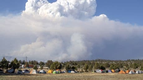 Qu’est-ce qu’un «pyrocumulus», ce nuage dangereux aperçu au-dessus de l’incendie qui ravage l’Aude ?