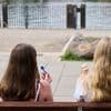 Wetterwoche im Schnellcheck: Frühsommer erreicht Höhepunkt am Feiertag - dann kippt es