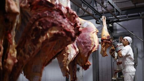 Égorgements «laborieux», animaux découpés vivants : un abattoir halal de Meaux visé par une plainte pour maltraitance animale