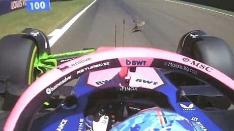 F1 star responds after hitting a RABBIT during Imola GP practice: "I couldn't avoid it"