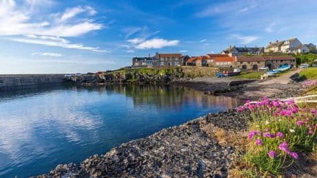 'Timeless' seaside village with 'world-famous' fish and railway journey named most scenic