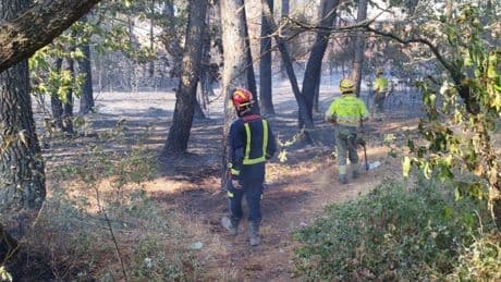 Alerta en Zamora por un incendio en Alcañices: el fuego está controlado, pero no extinguido