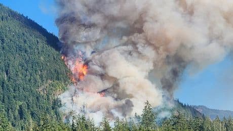 Multiple local states of emergency issued as wildfire near Port Alberni grows
