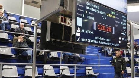 El precio del primer bonito del norte cae a 120,20 euros, el más bajo de los últimos años
