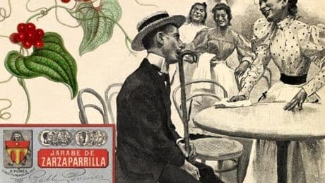 Zarzaparilla, remedio contra la sífilis y refresco