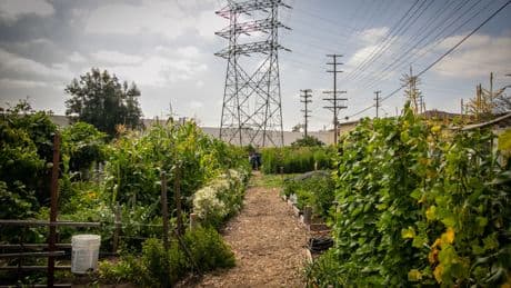We’re Looking For Climate Solutions in the Wrong Places