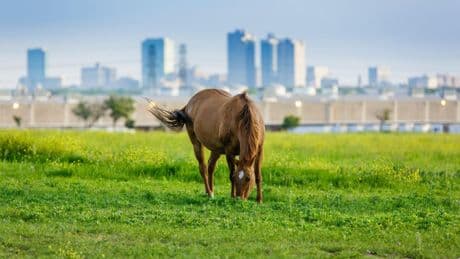 When The Government Takes Your Property, You Can Take It To Court