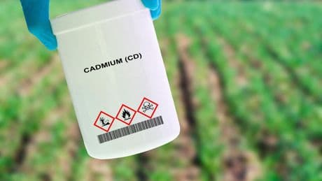 Cadmium : quel est ce métal cancérigène présent dans nos aliments ?