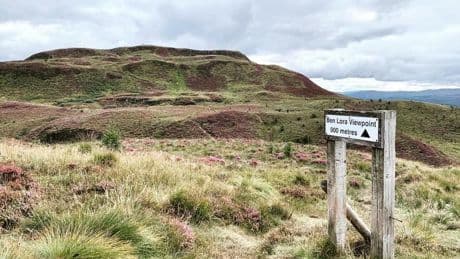 Five best Scottish seafood shacks with scenic walks to enjoy nearby