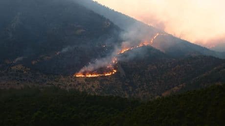 Kahramanmaraş'taki orman yangını: 26 saattir müdahale ediliyor