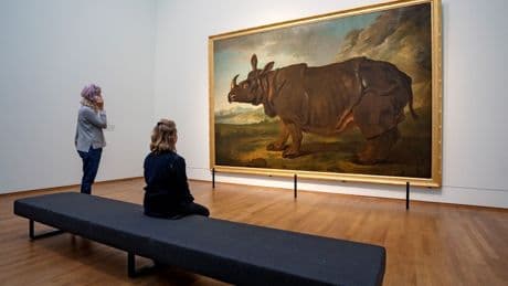 Dem Geheimnis auf der Spur: Das Nashorn, das von Tellern aß