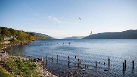 New Loch Ness bus to meet 'unprecedented' demand from Nessie hunters