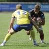 Rugby - Nationale. Contre Albi, le Niort RC veut prolonger l’état de grâce