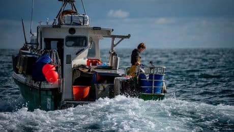 UK Government has ‘surrendered’ on fishing in EU deal, says Swinney