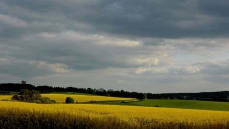 Pluies, crues, éclaircies: à quel temps s'attendre cette semaine?