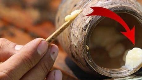 'Kanserin şifası' diye biliniyor! Kilosu 45 bin lira