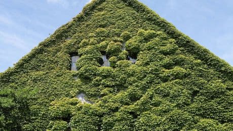 Architektur: Wir bauen uns Städte aus Popcorn